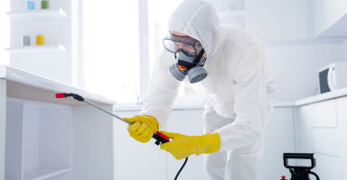 Olá, mundo! Copy Copy